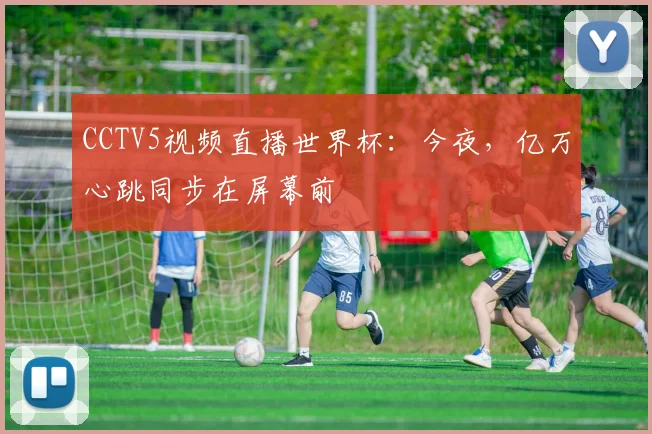 世界杯8强背后的数据：历史规律与冷门揭秘