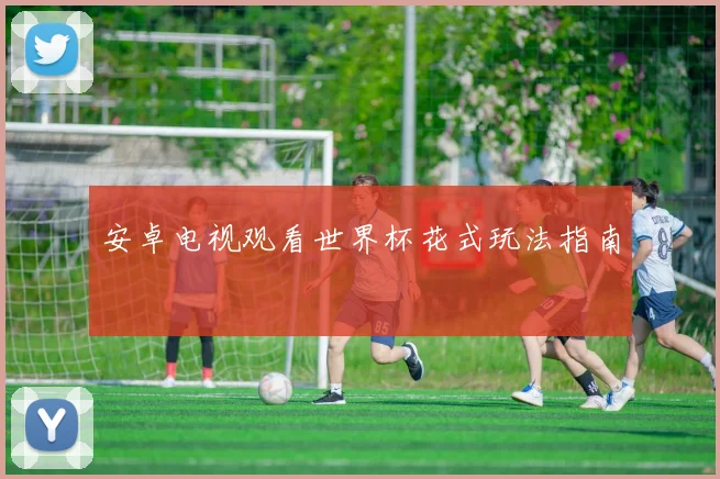 安卓电视观看世界杯花式玩法指南