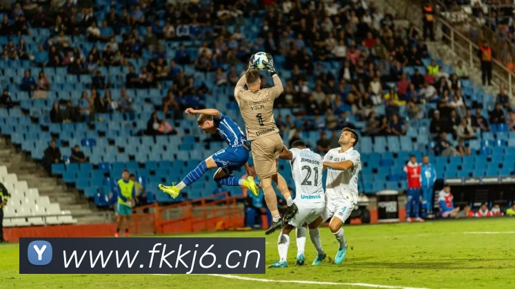 多媒体互动体验